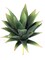 Stylish and Low-Maintenance - 6" Tall Artificial Succulent Aloe Plant for Modern Home and Office Decor with Realistic Textured Leaves